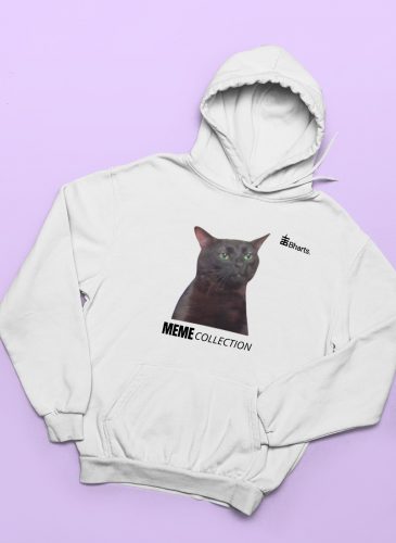 ZONE OUT CAT Kapucnis Hoodie - The meme collection